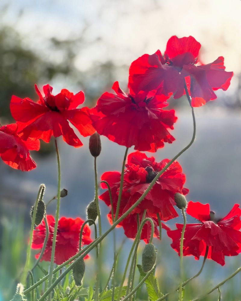 Photograph by Татьяна Волохова