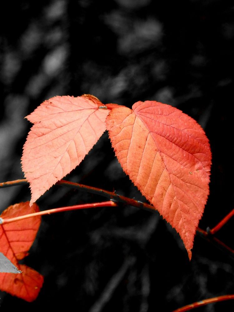 Photograph by Егор Жук