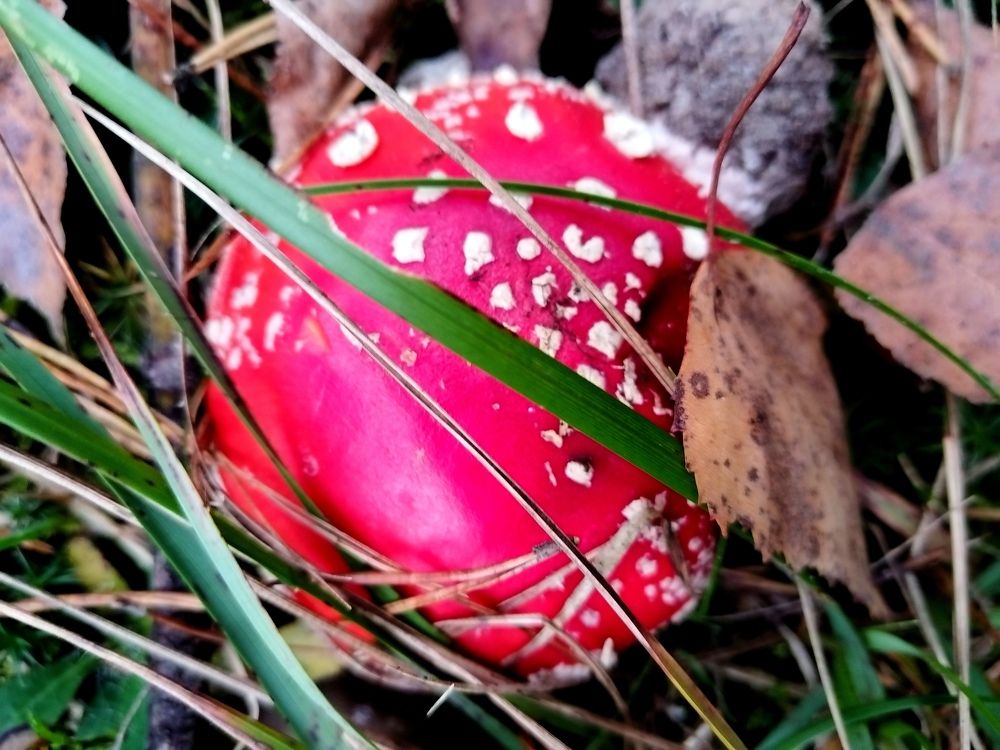 Photograph by Юлія Гацко