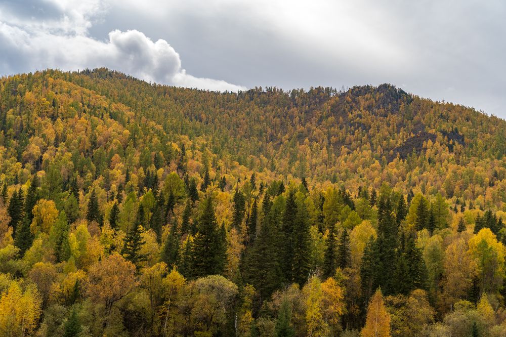 Photograph by Аркадий Морозов