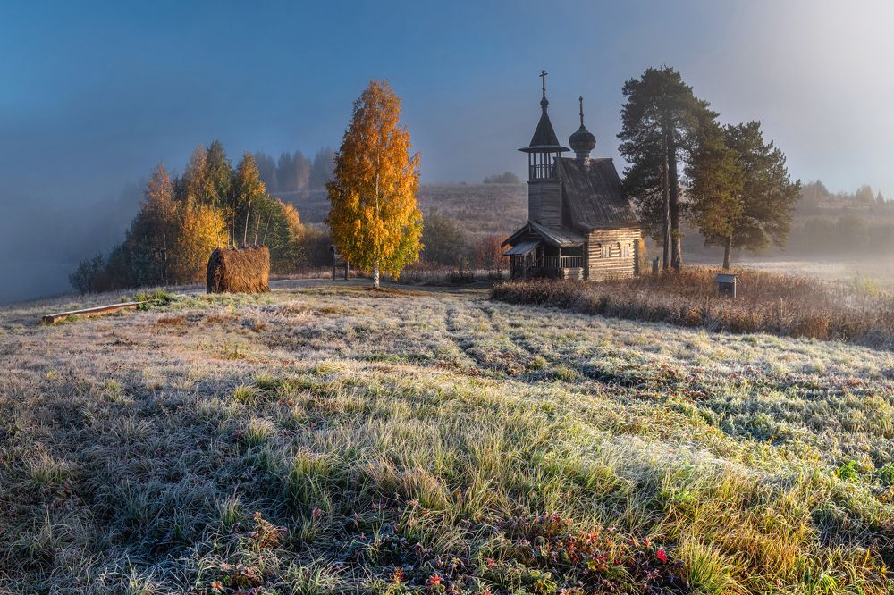 Photograph by Журавлев Александр