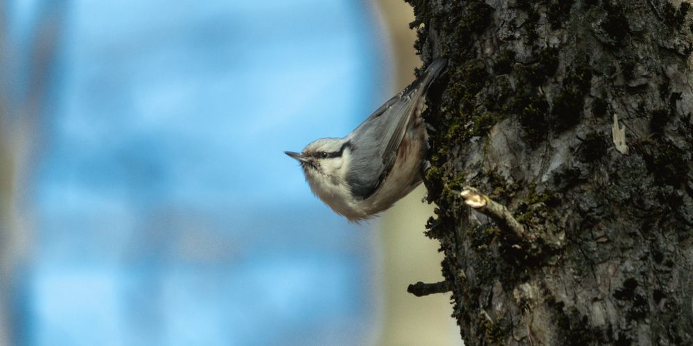 Photograph by Алексей Кочерыжкин