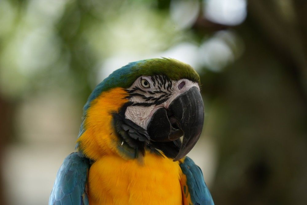 Фотография автора OVIDIU-IOAN TICU