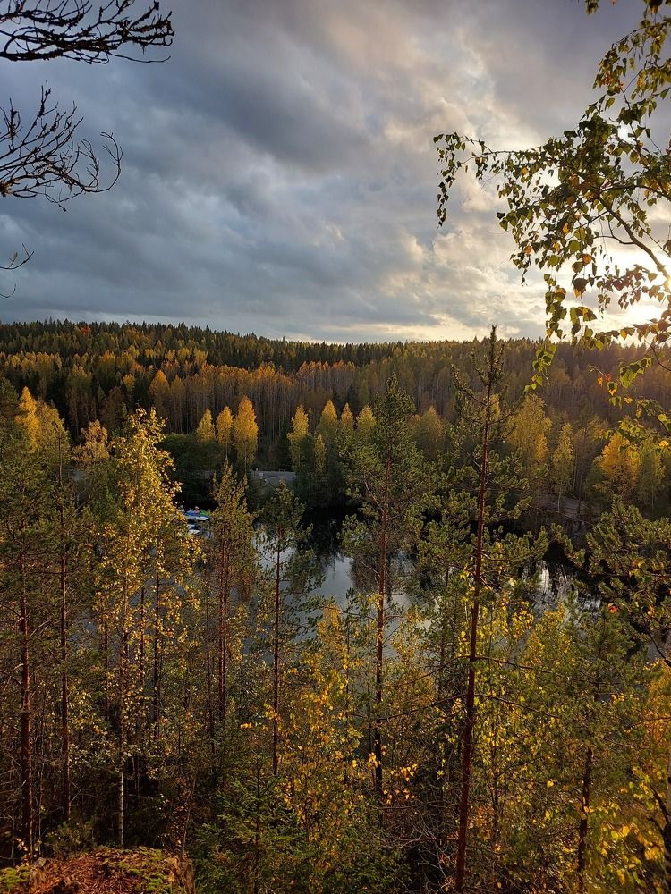 Photo #11192991