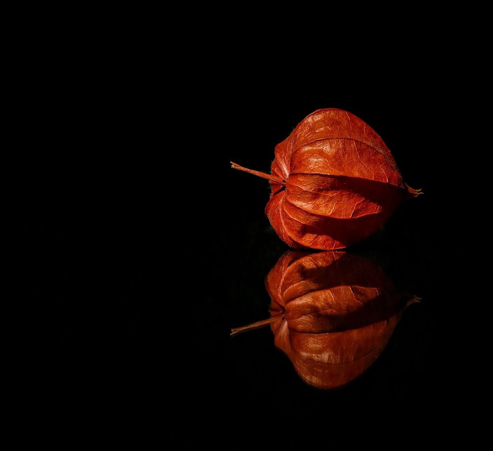 Photograph by Александра