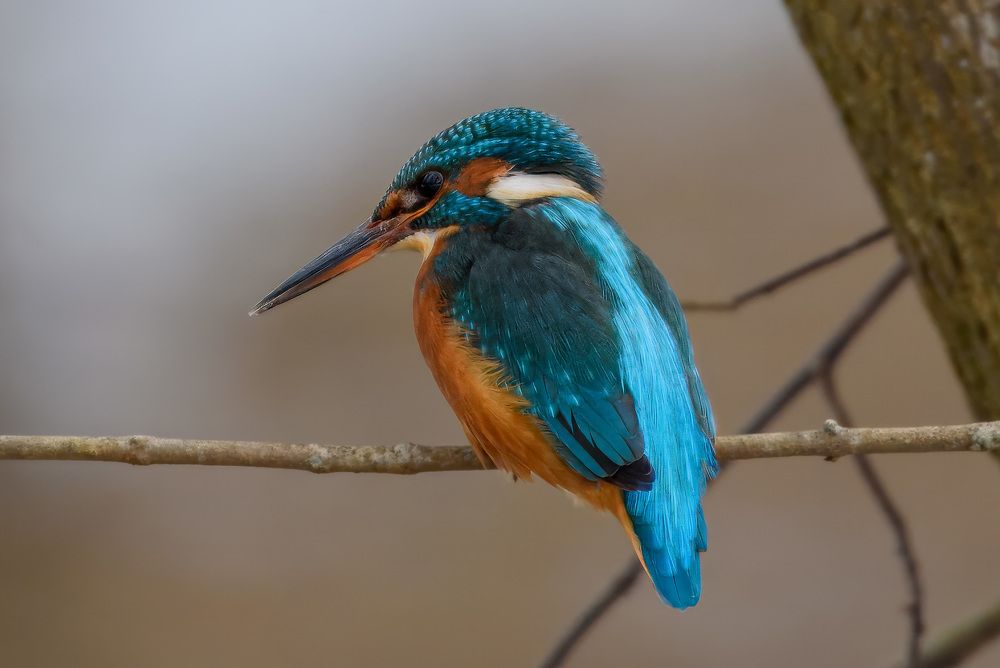 Фотография автора Юрий Макаров