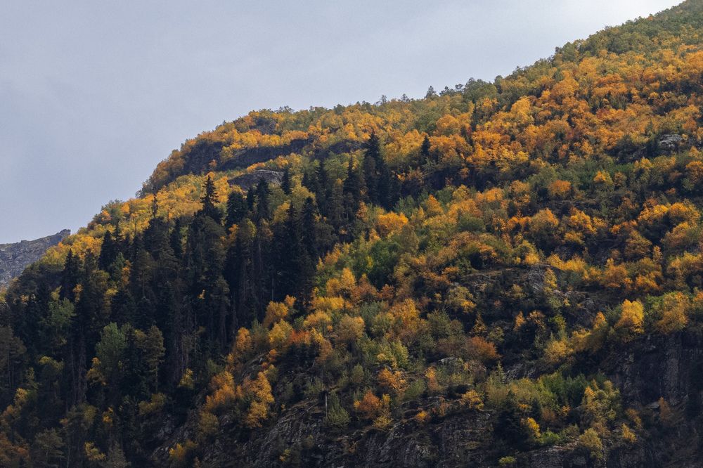 Photograph by Дмитрий Костяков