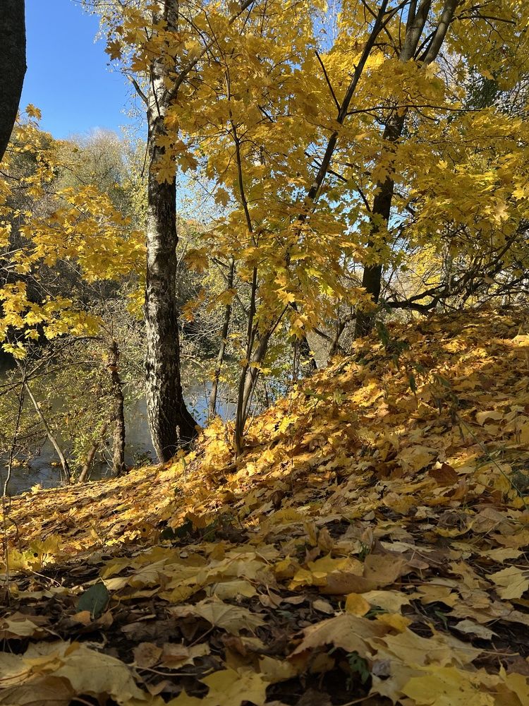 Photograph by Дмитрий Костяков