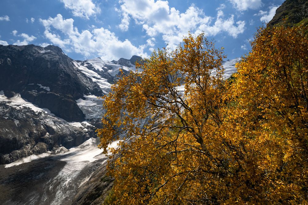 Алибекский летний, Домбай
