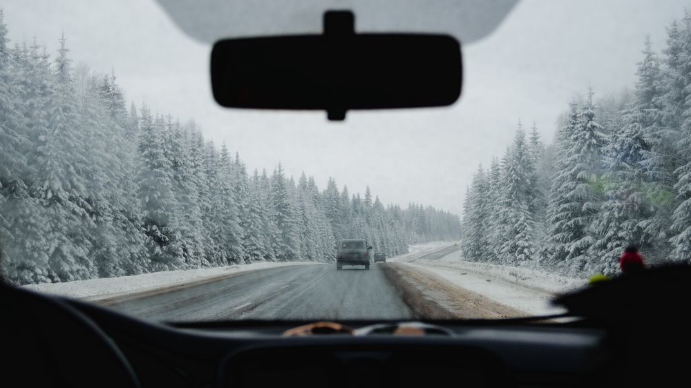 Фотография автора Мария Михайлова