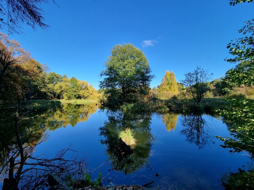 Photograph by Ольга