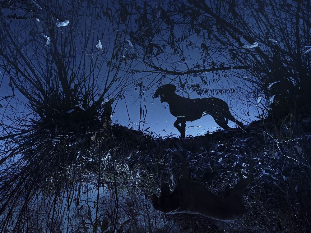 Photograph by Эльнара Исаева