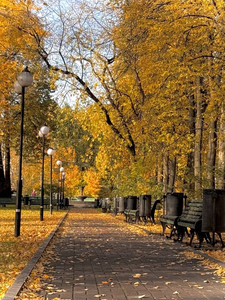 Осень в Перербурге