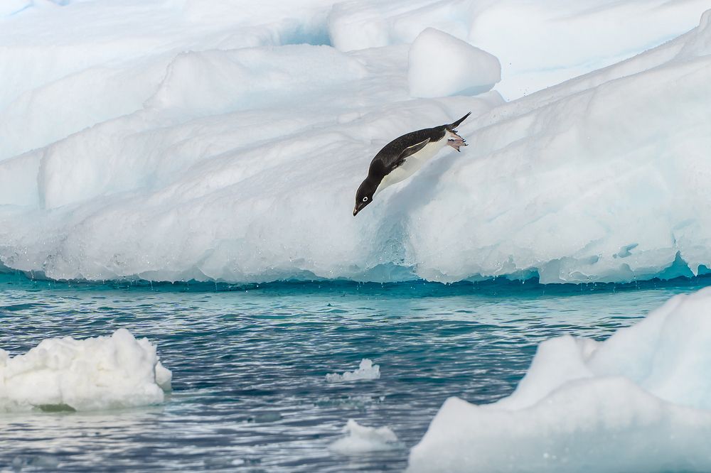 Photograph by Мария Новоселецкая