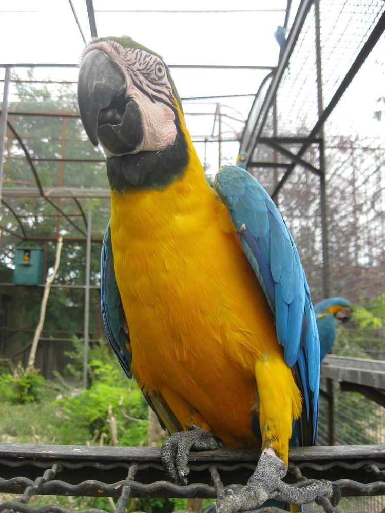 Фотография автора Анатолий Дячина