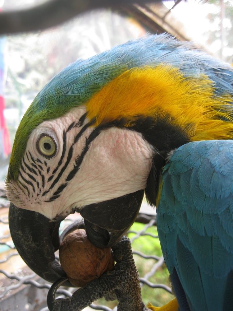 Фотография автора Анатолий Дячина