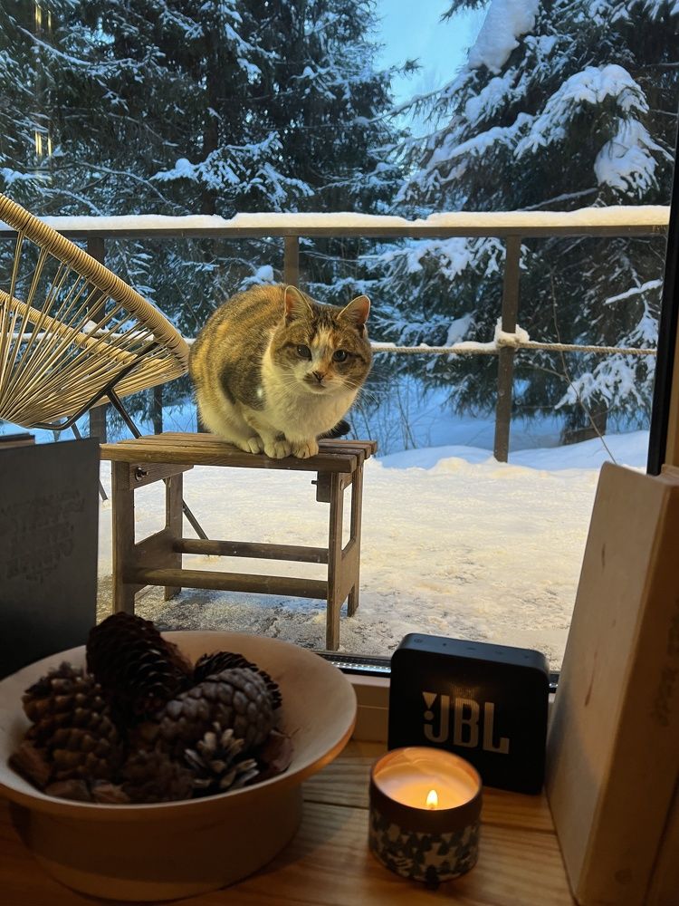 Photograph by Дмитрий Костяков