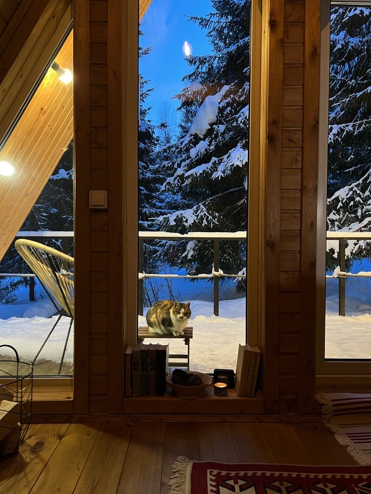 Photograph by Дмитрий Костяков