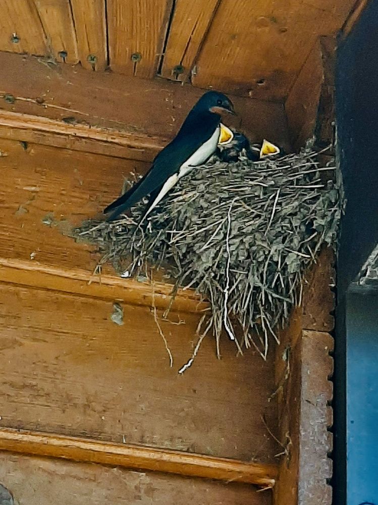 Photograph by Ольга Белоусова