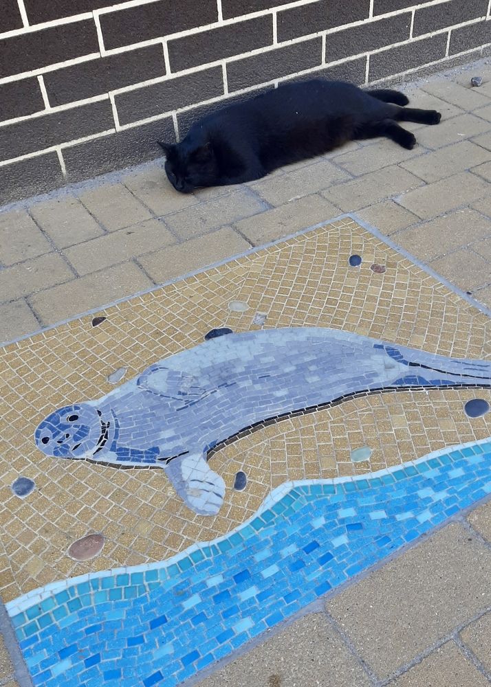 Photograph by Ольга Белоусова