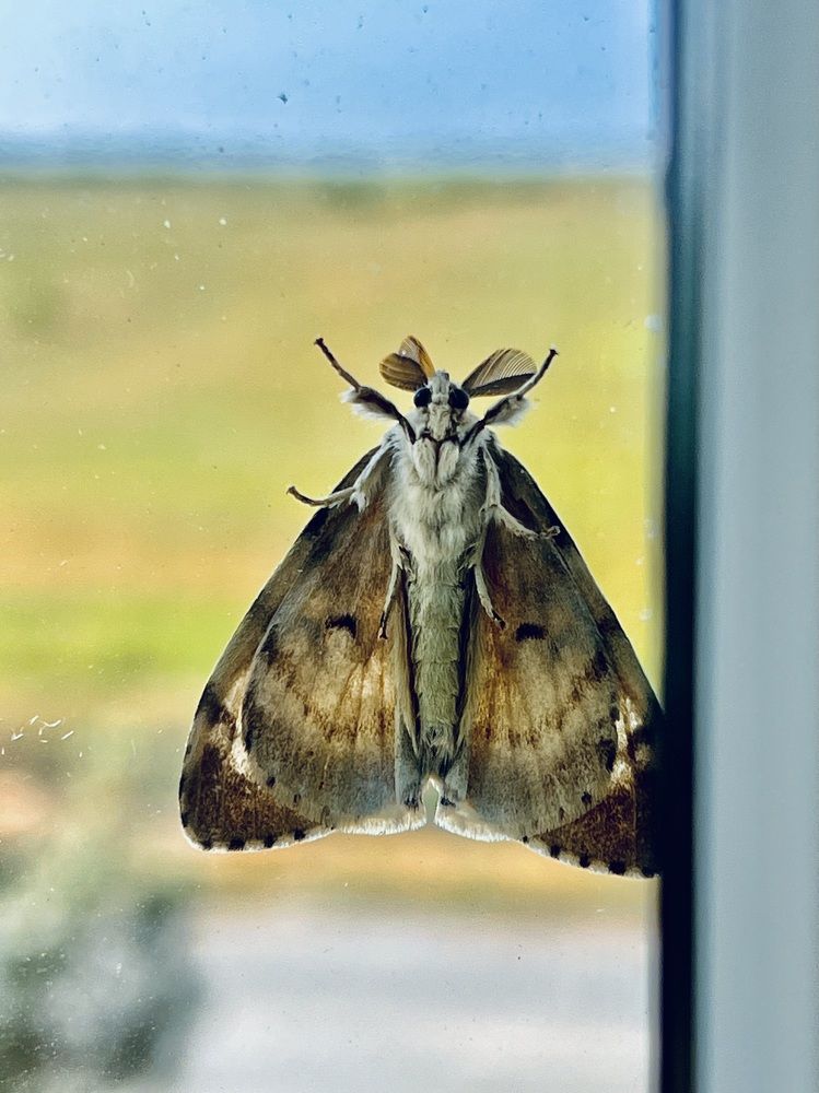 Photograph by Ольга Белоусова