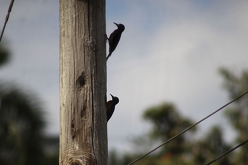 Photograph by Jose Otero
