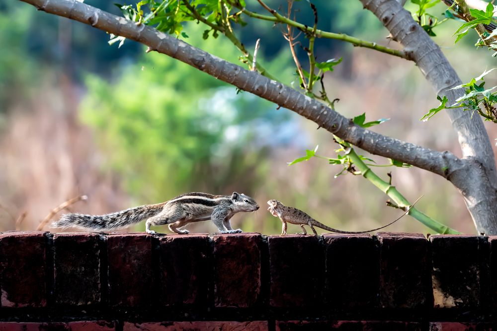 Photograph by Anuj jain