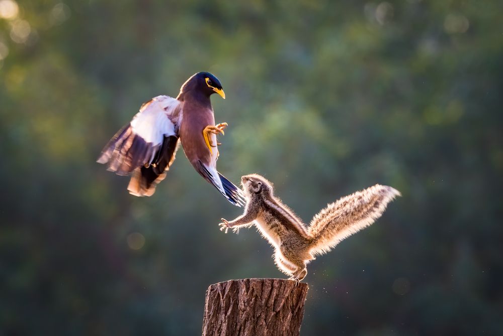 Photograph by Anuj Jain