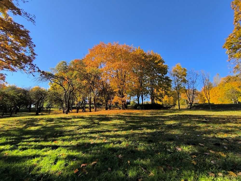 Photograph by Людмила Муравьева