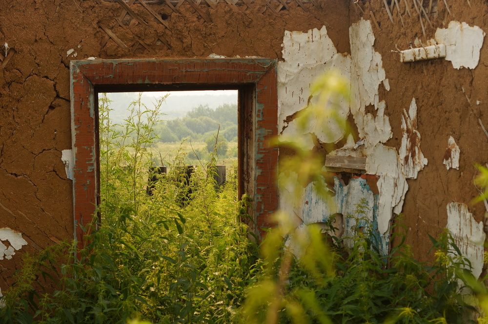 Photograph by Александр Пургин