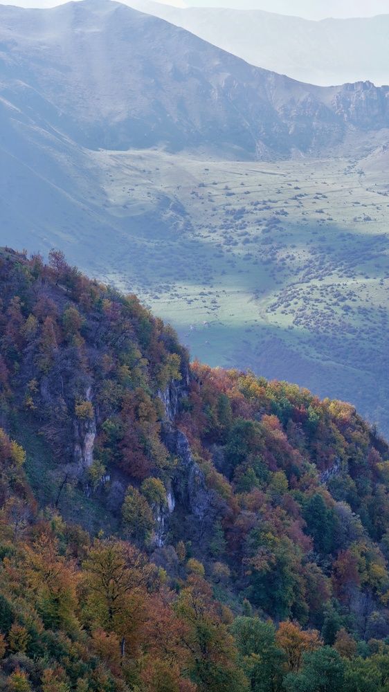 Photograph by Seyed-Sajad Hamedheydari