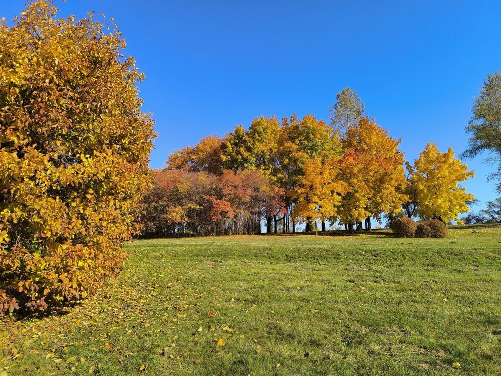 Photograph by Людмила Муравьева