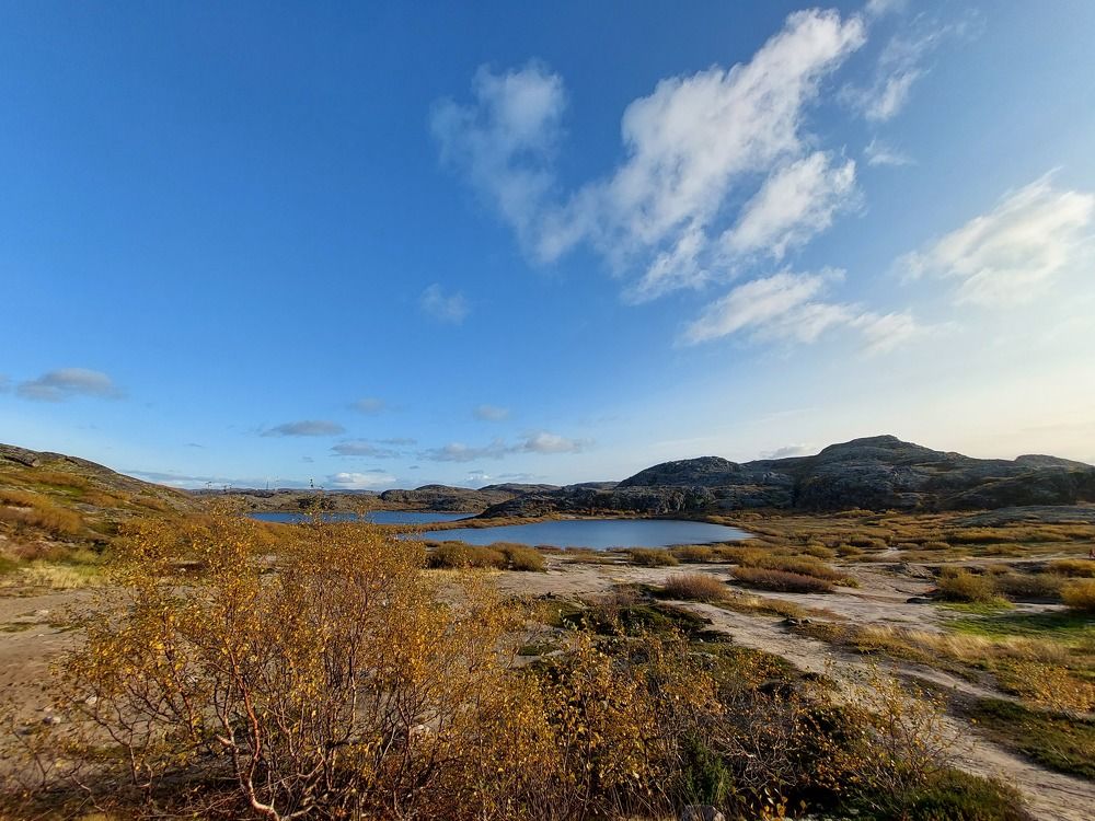 Photo #11193257