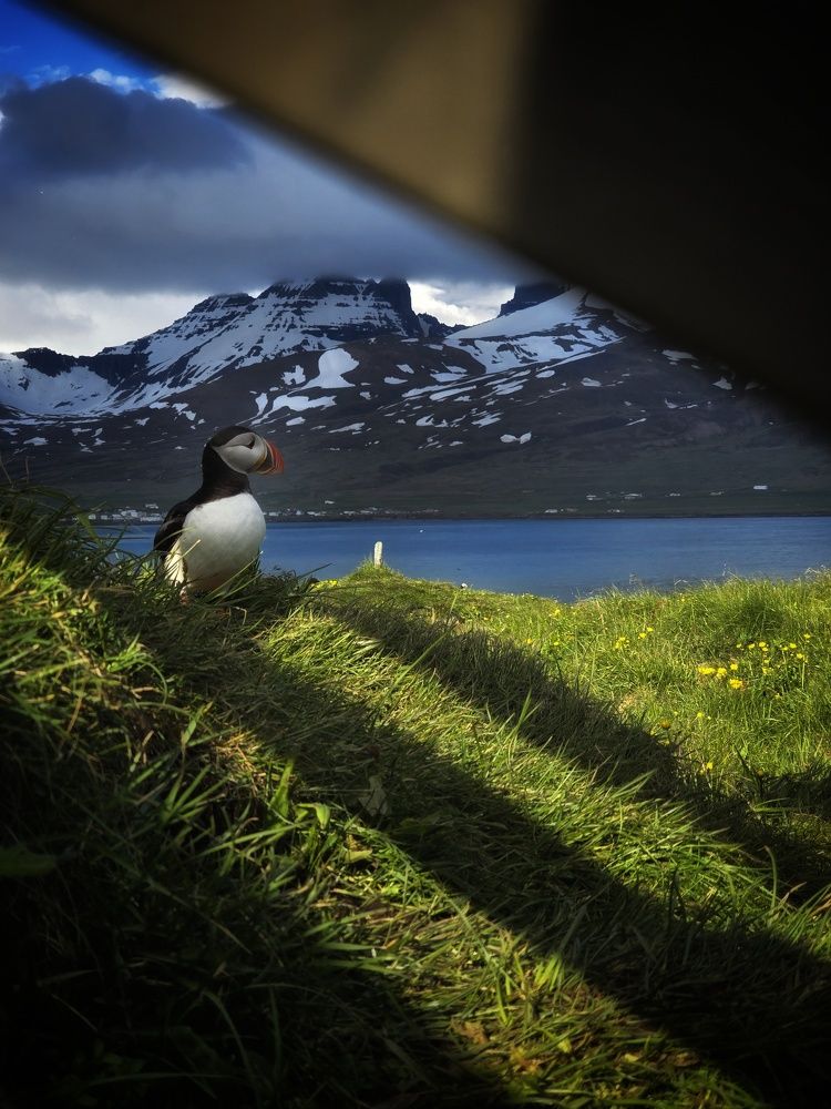 Photograph by Юлия Войцеховская