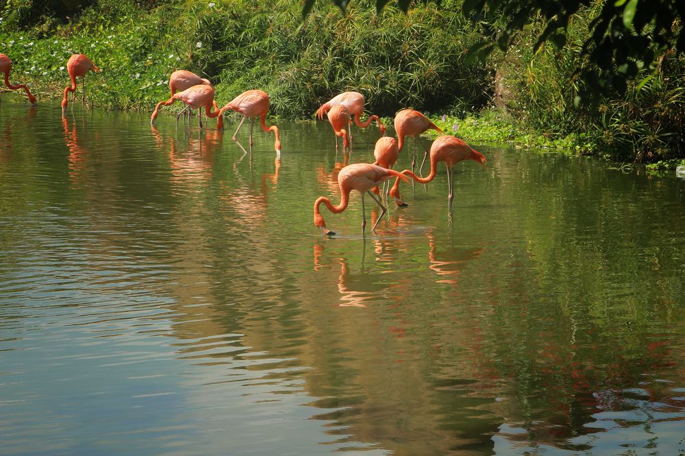 Photograph by Людмила Савчук