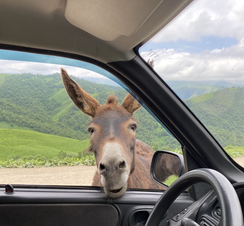 Photograph by Алиса Лукина