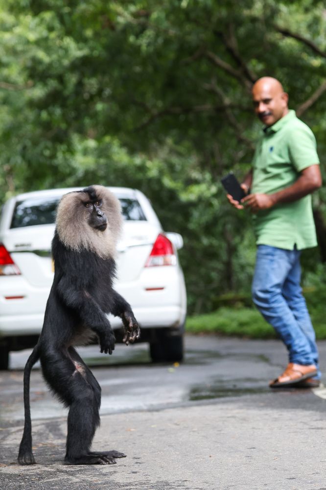 Фотография автора Suresh S S