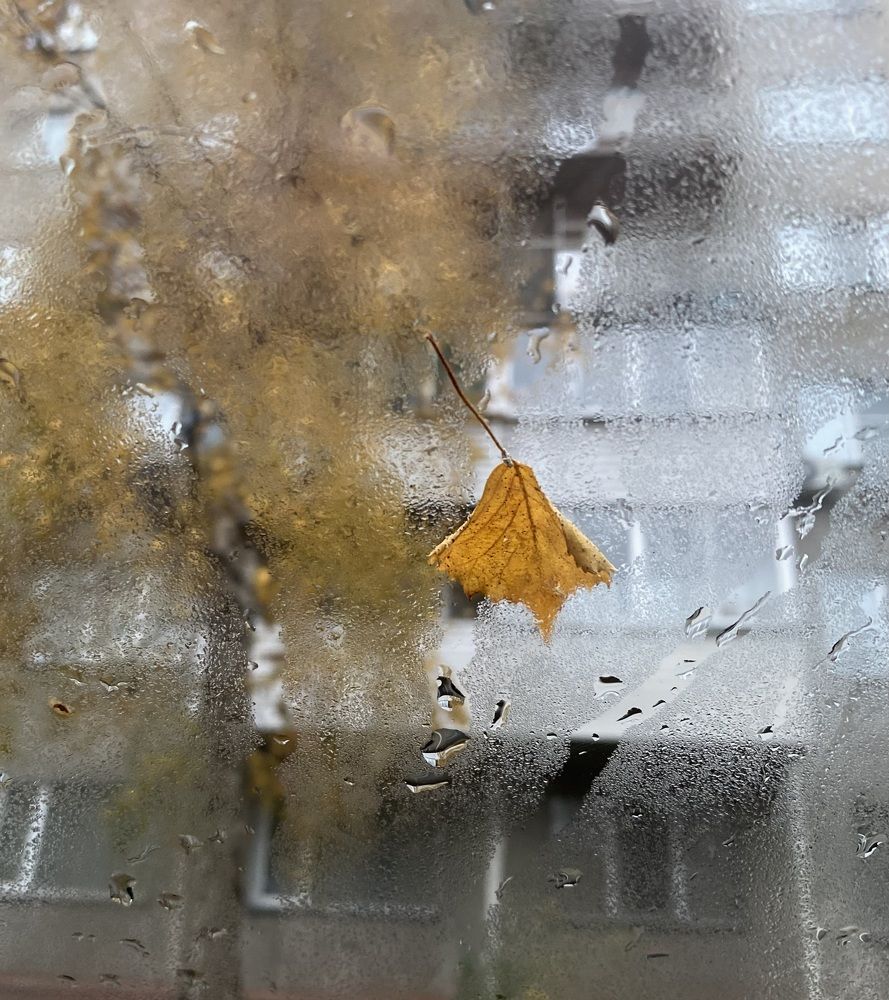 Photograph by Алиса Лукина