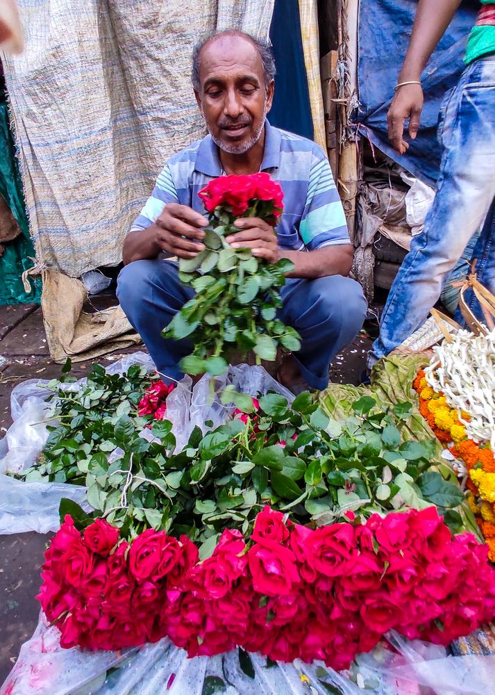 Photograph by Priyadarshi bose