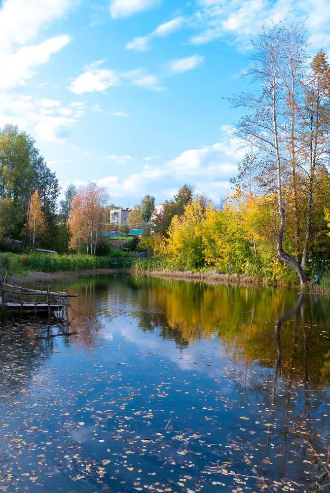 Окраина городка