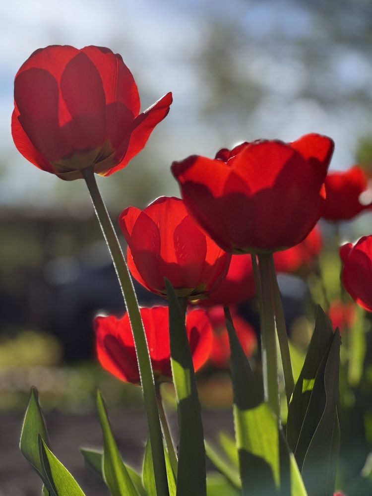 Photograph by Дмитрий Костяков