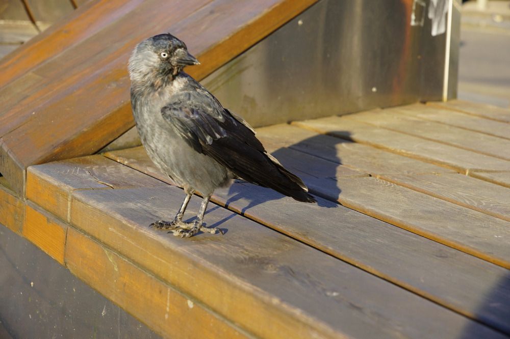 Photograph by Светлана Хохлова