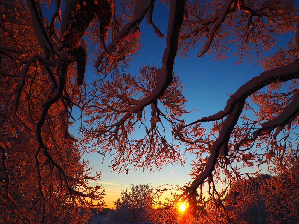 Photograph by PERESHEIN ANDREY