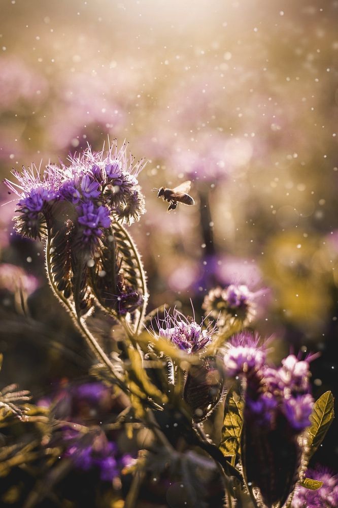 Photograph by Татьяна Алкарева-Горшкова