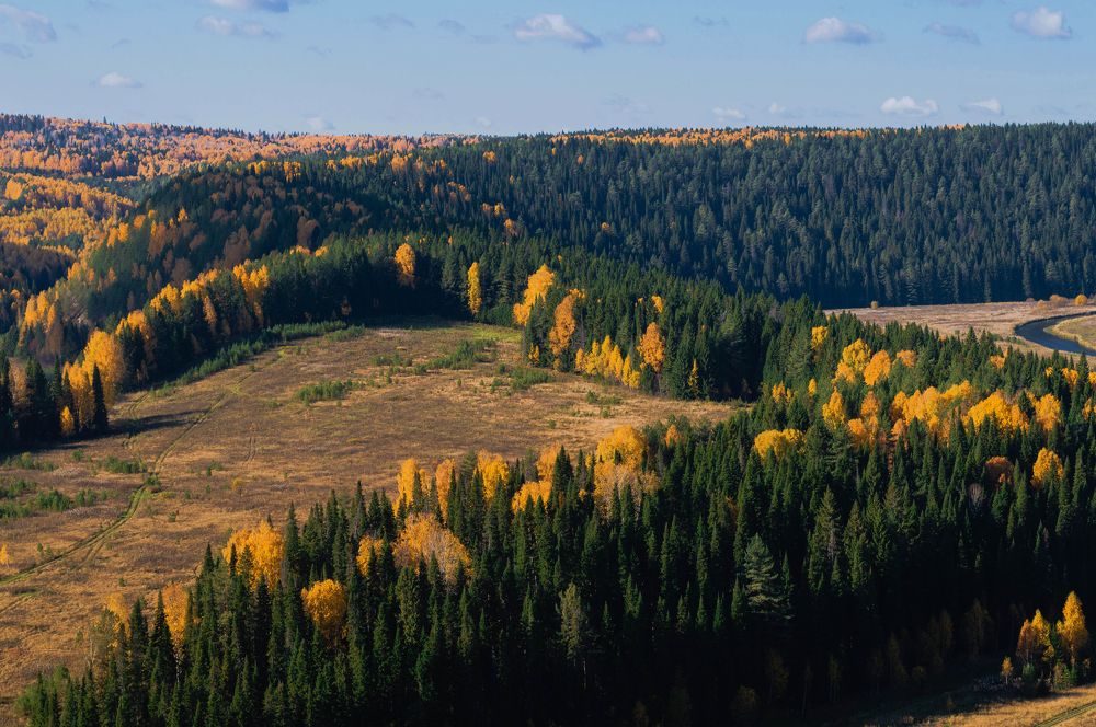 Фотография автора Мария Михайлова