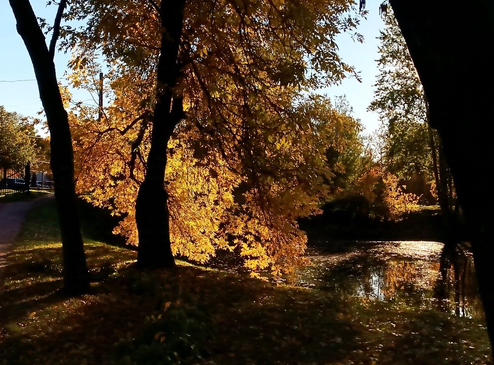 Photograph by Olga Kot