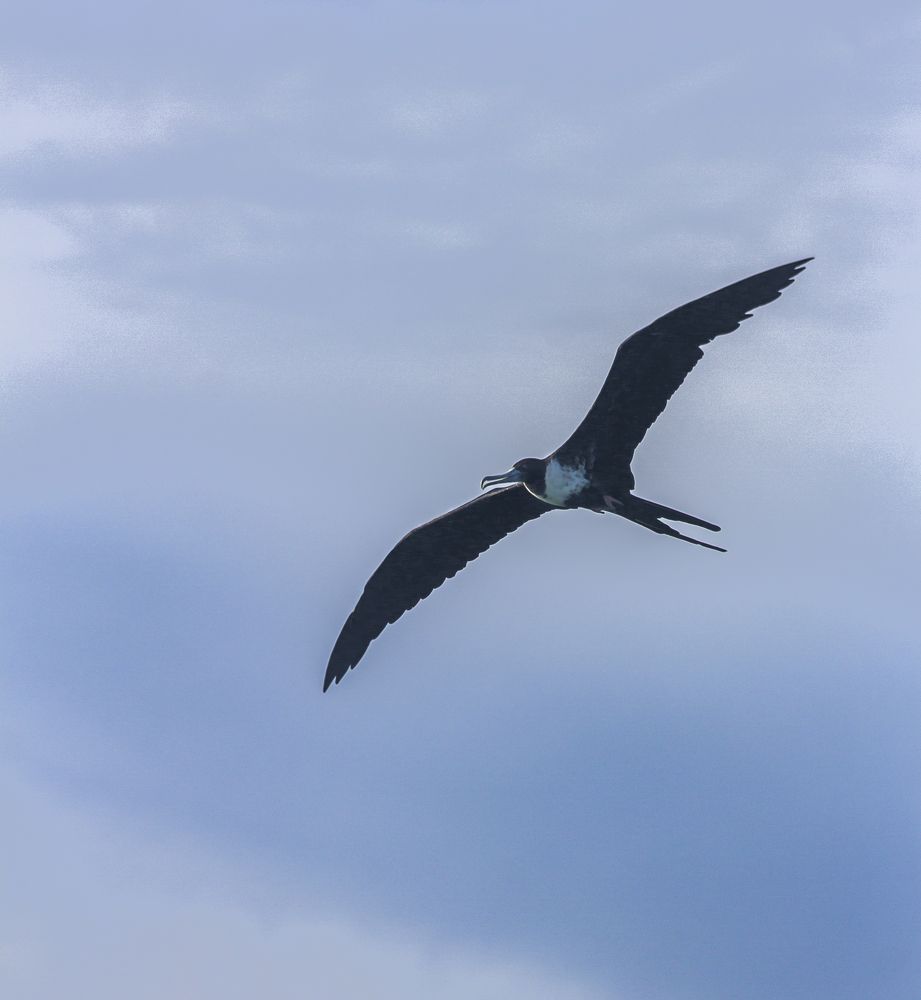 Photograph by Daniel Sosa