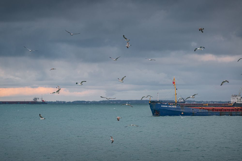 Фотография автора Сергей Котов