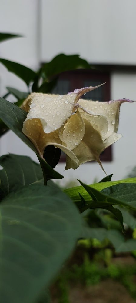 Photo #11193401