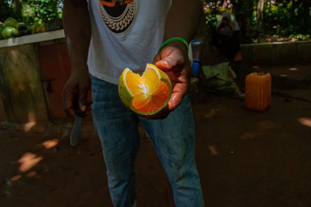 Photograph by Елизавета Корнилова